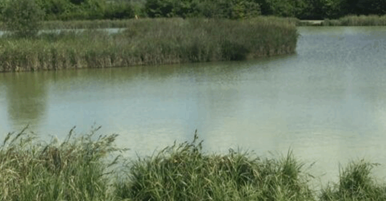Hillview Lake
